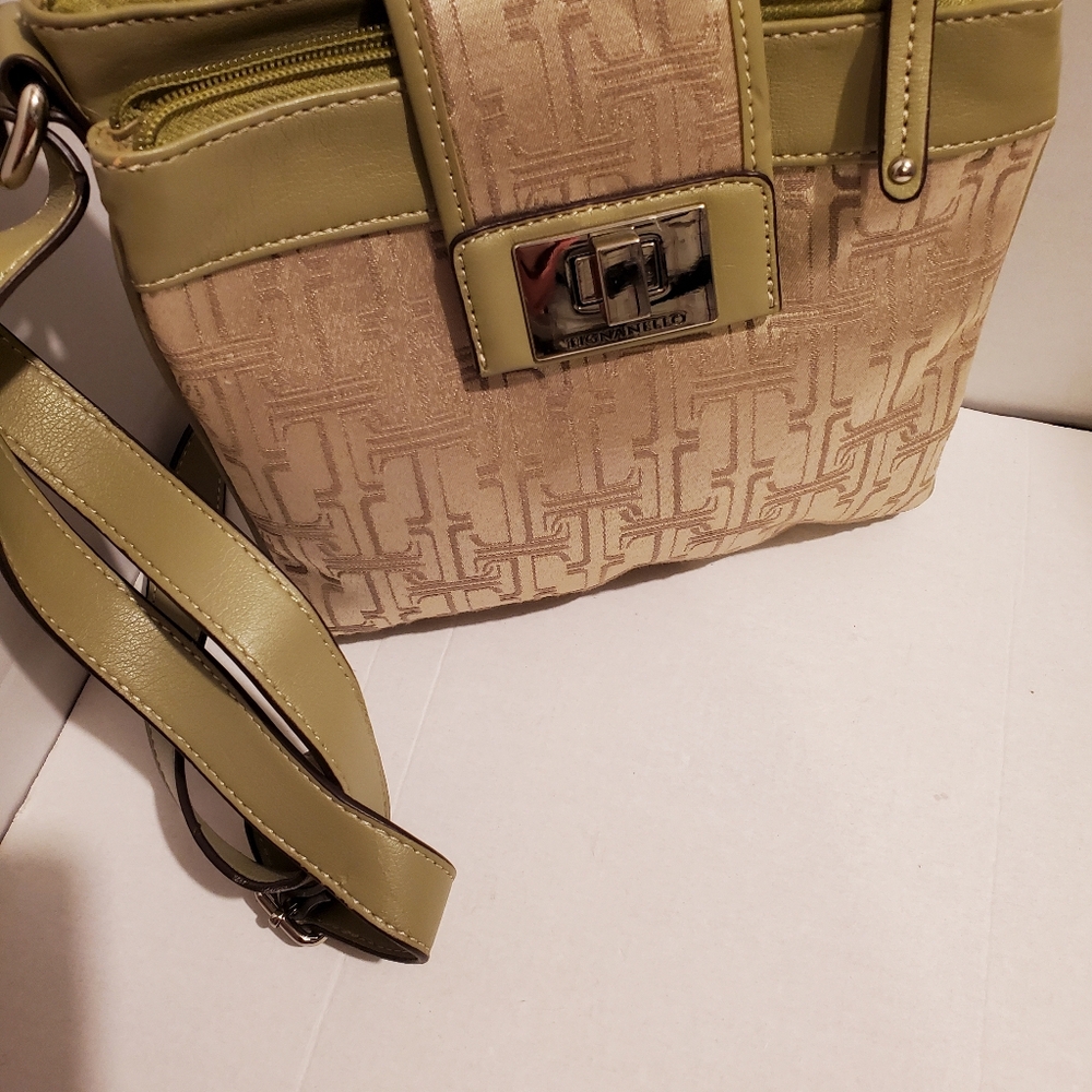 Tignanello Green Crossbody/Organizer